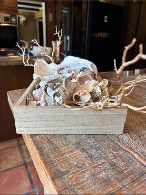 Natural Seashell Centerpiece Bowl - Cream and Tan Coastal Decor